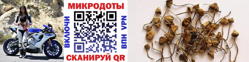 Псилоцибиновые грибы мицелий  Усть-Кут 