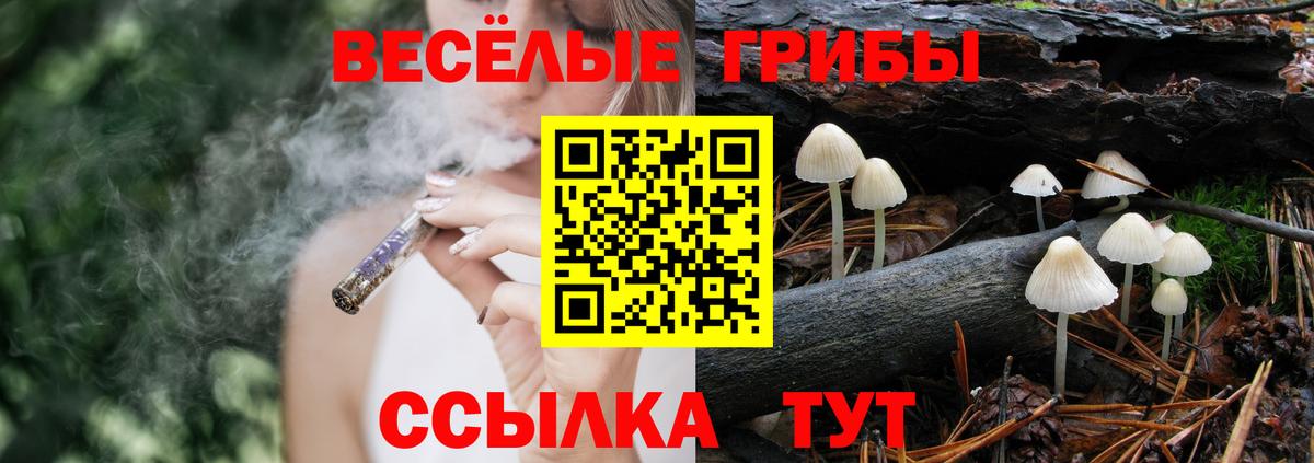Псилоцибиновые грибы прущие грибы  Вход с VPN  Усть-Кут 