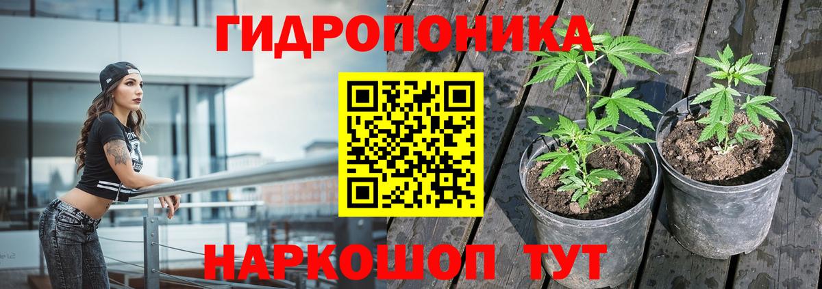 Усть-Кут  Шишки марихуана Amnesia  Канабис сатива  Конопля AK-47  Вход с VPN 